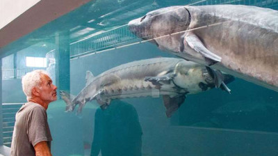 Jeremy Wade: Rios Grandiosos E2 - O Yangtzé