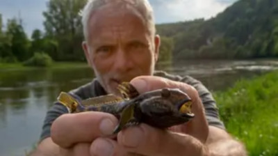 Jeremy Wade: Rios Grandiosos E3 - O Danúbio