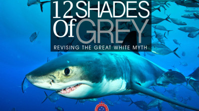 12 Shades of Grey - Documentário completo