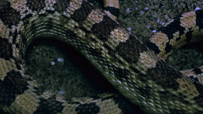 Desvendando os Oceanos com Jeremy Wade T1:E1 - A Conspiração do Monstro do Lago Ness