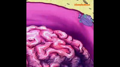 spongebob italiano viaggio all'interno di squiddi