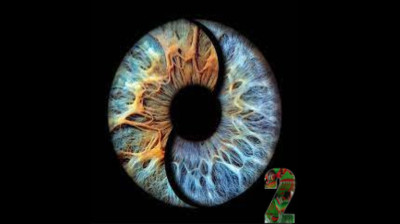 BATTLETOADS   DA CRIANÇADA