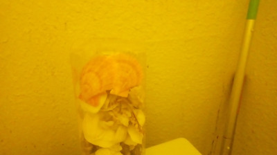 I HAVE A MASSAGE TO TELL BENEDICT CUMBERBATCH & TOM HIDDLESTON & MY ANT'S HATER.