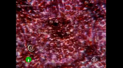 Tre Nipoti E Un Maggiordomo 1966 03x13