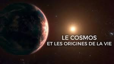Le cosmos et les origines de la vie (2-2) - L’apport des météorites