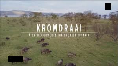 Kromdraai, à la découverte du premier humain
