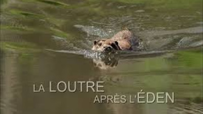 La loutre après l'Eden