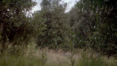 La Malédiction 3  VF