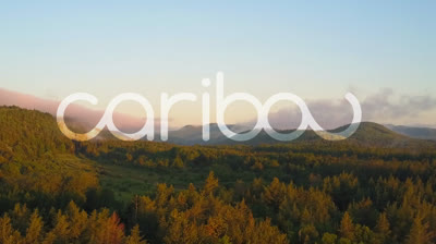 Trailer de "Caribou"